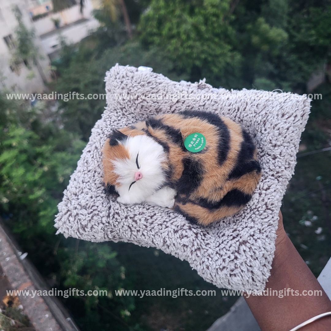 Musical cat toy