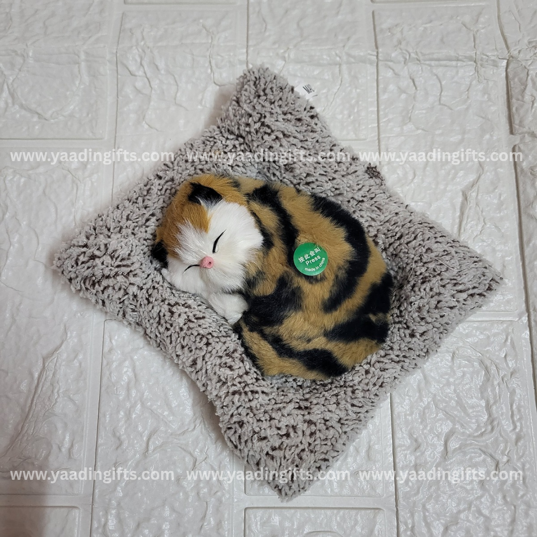 Musical cat toy