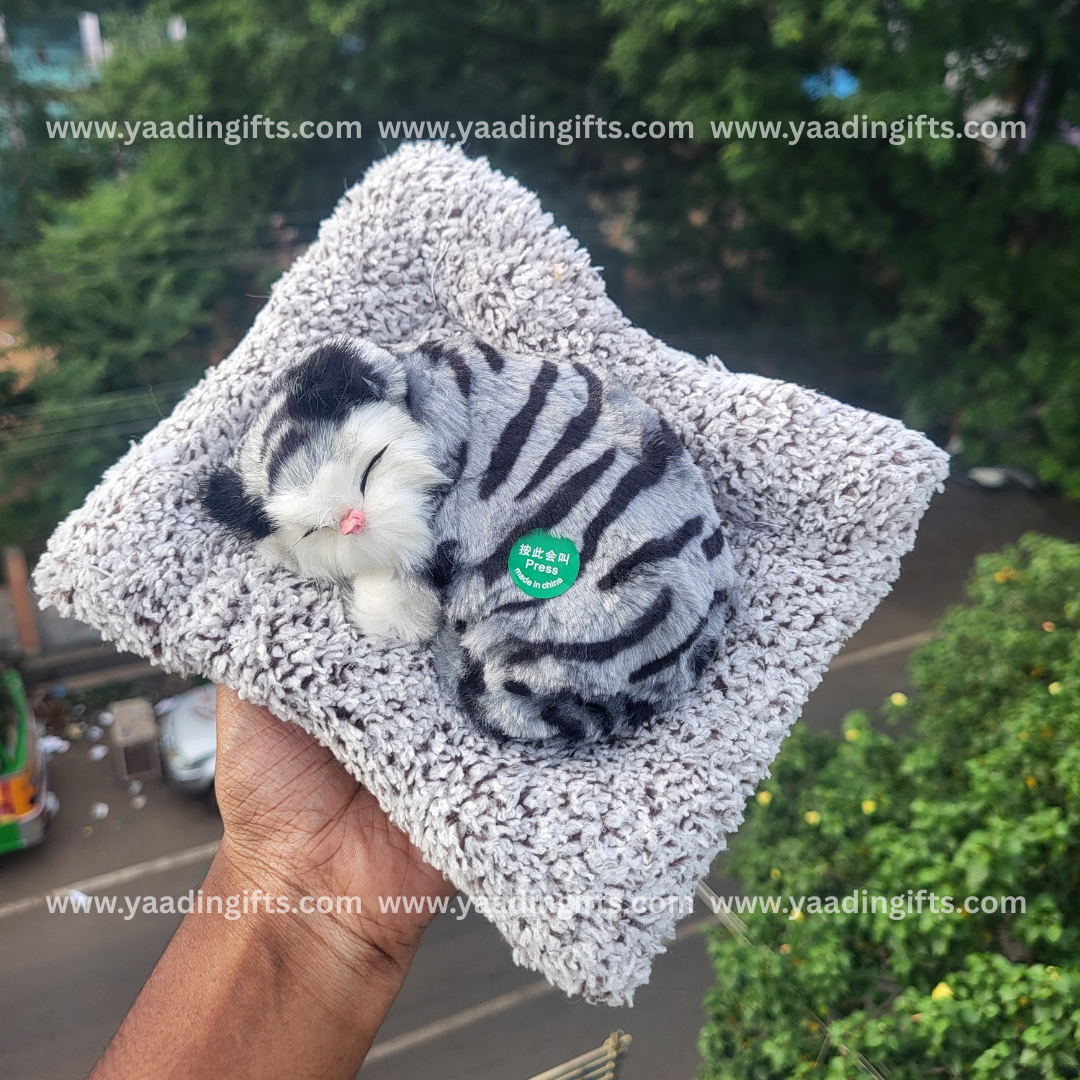 Musical cat toy