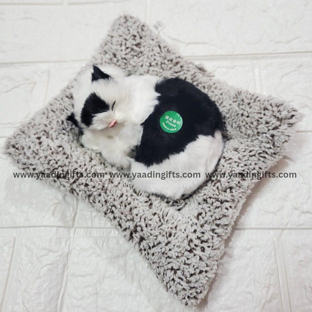 Musical cat toy