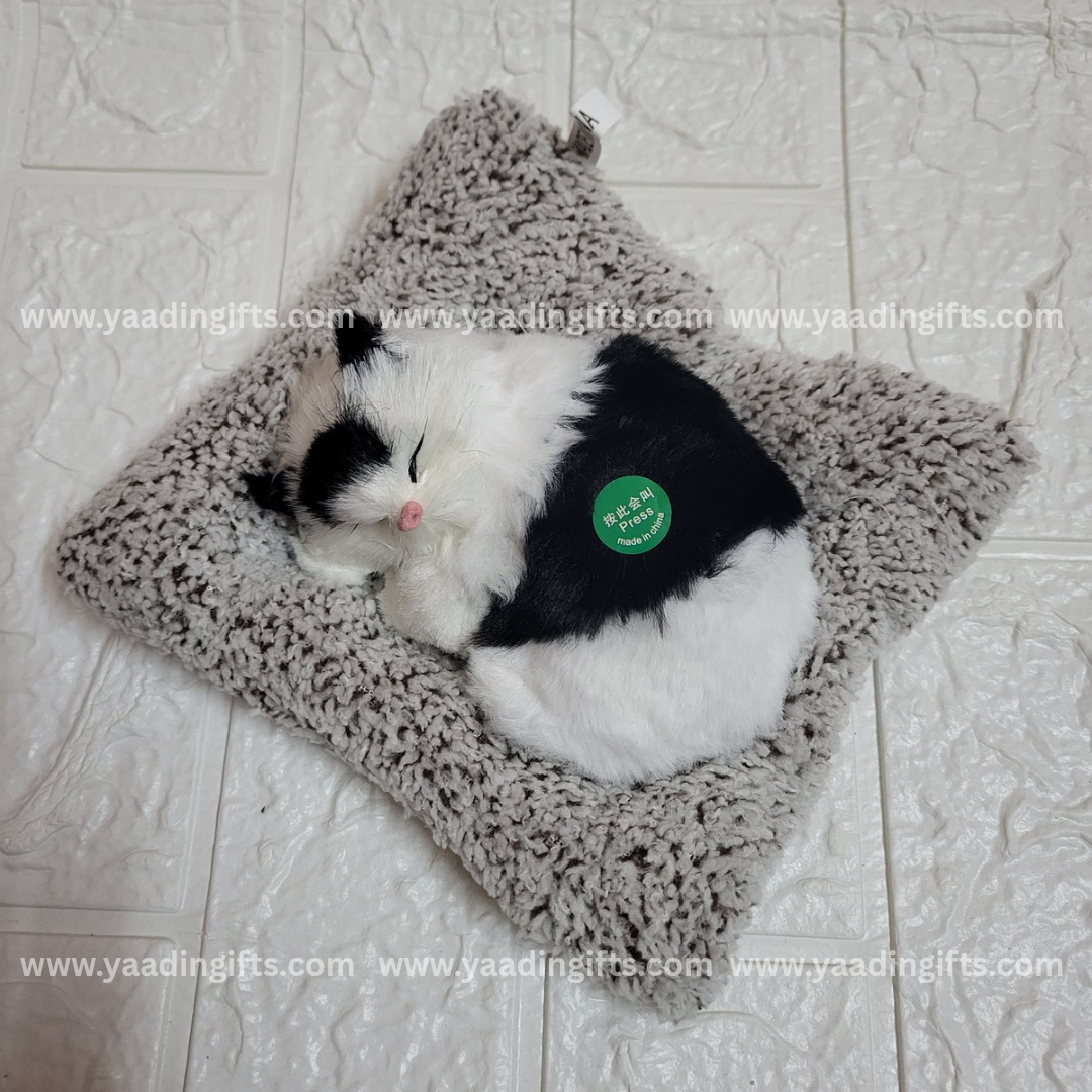 Musical cat toy