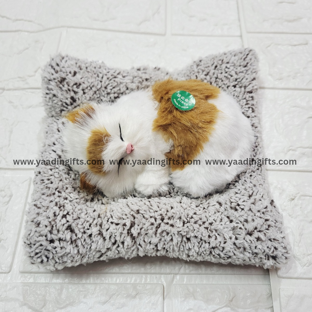 Musical cat toy
