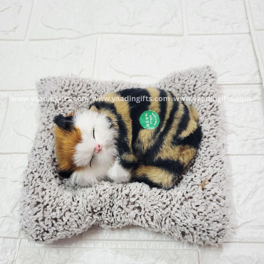 Musical cat toy