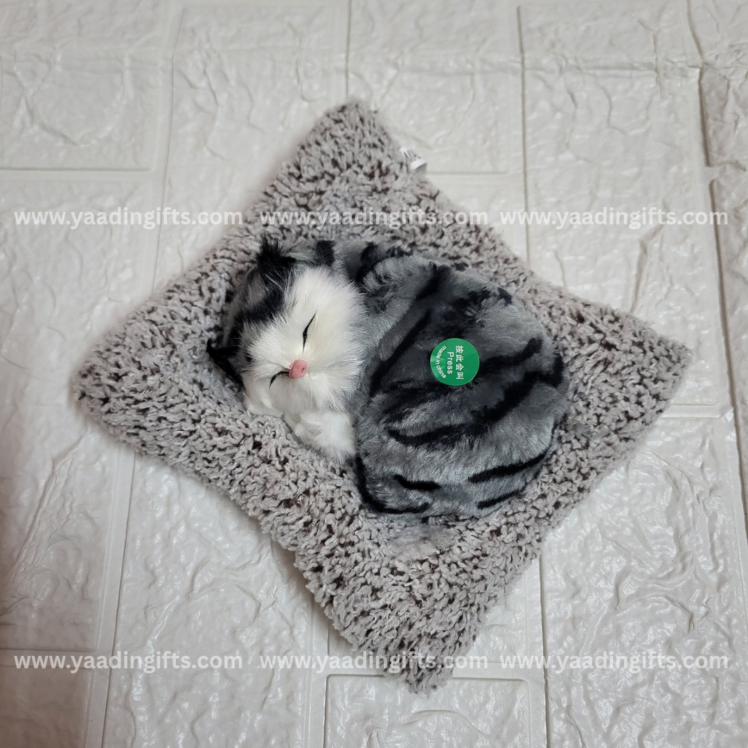 Musical cat toy