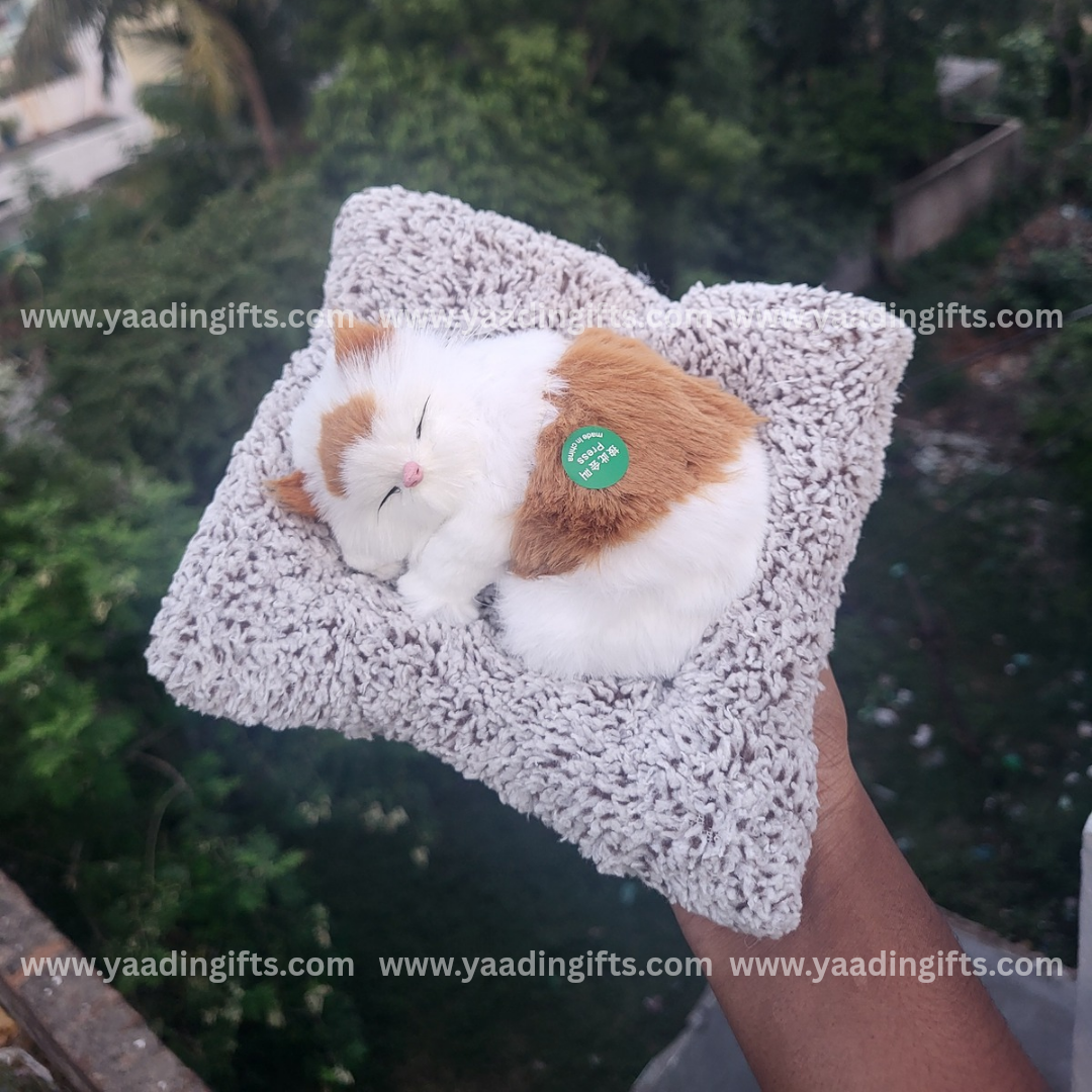 Musical cat toy