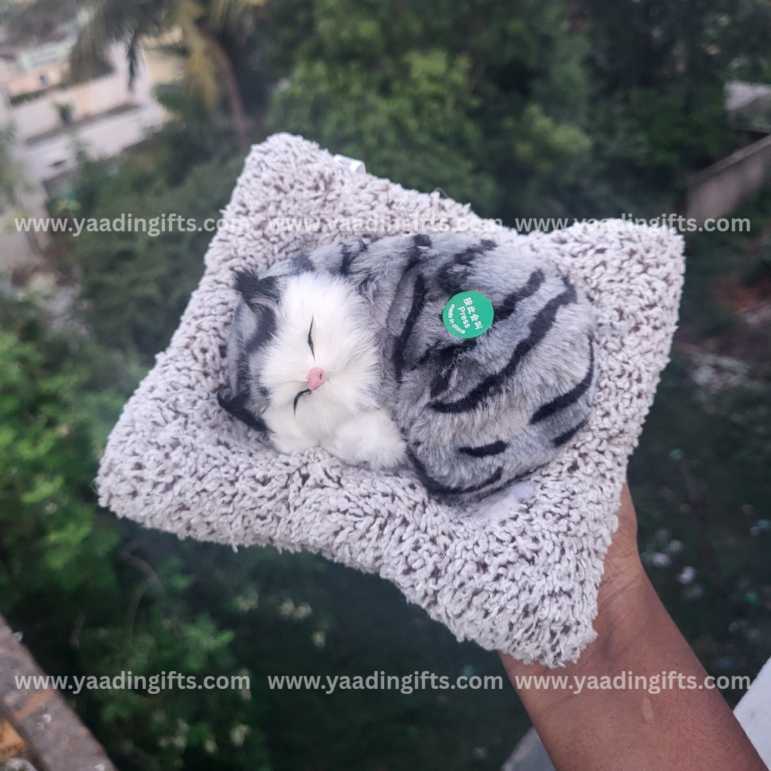 Musical cat toy