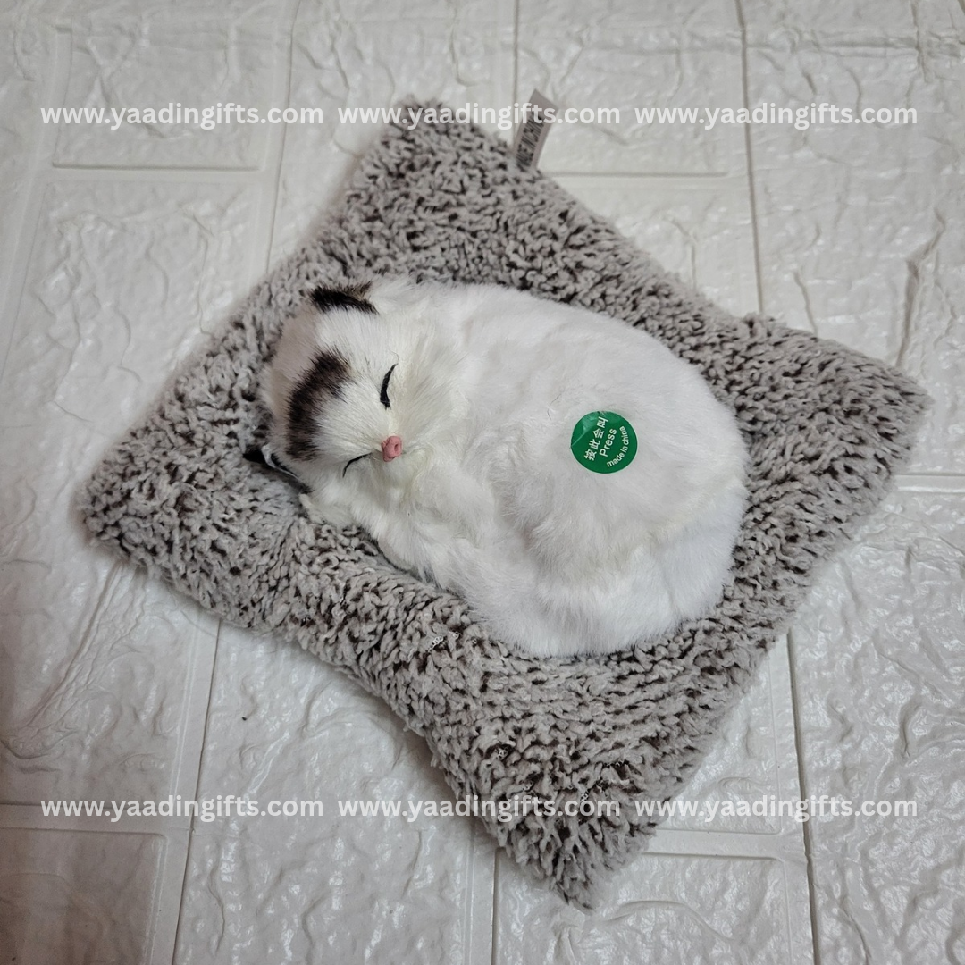 Musical cat toy