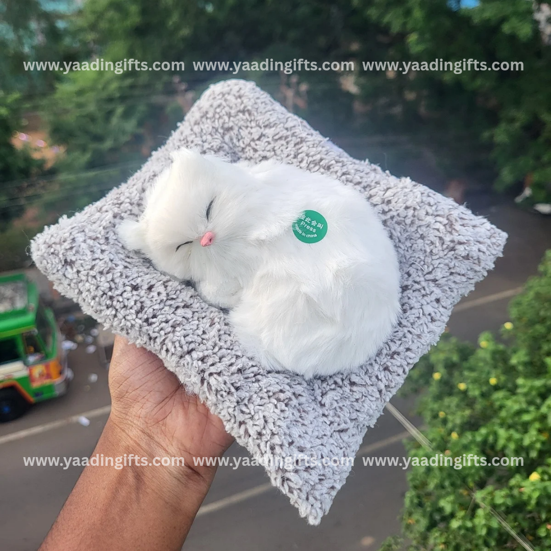 Musical cat toy