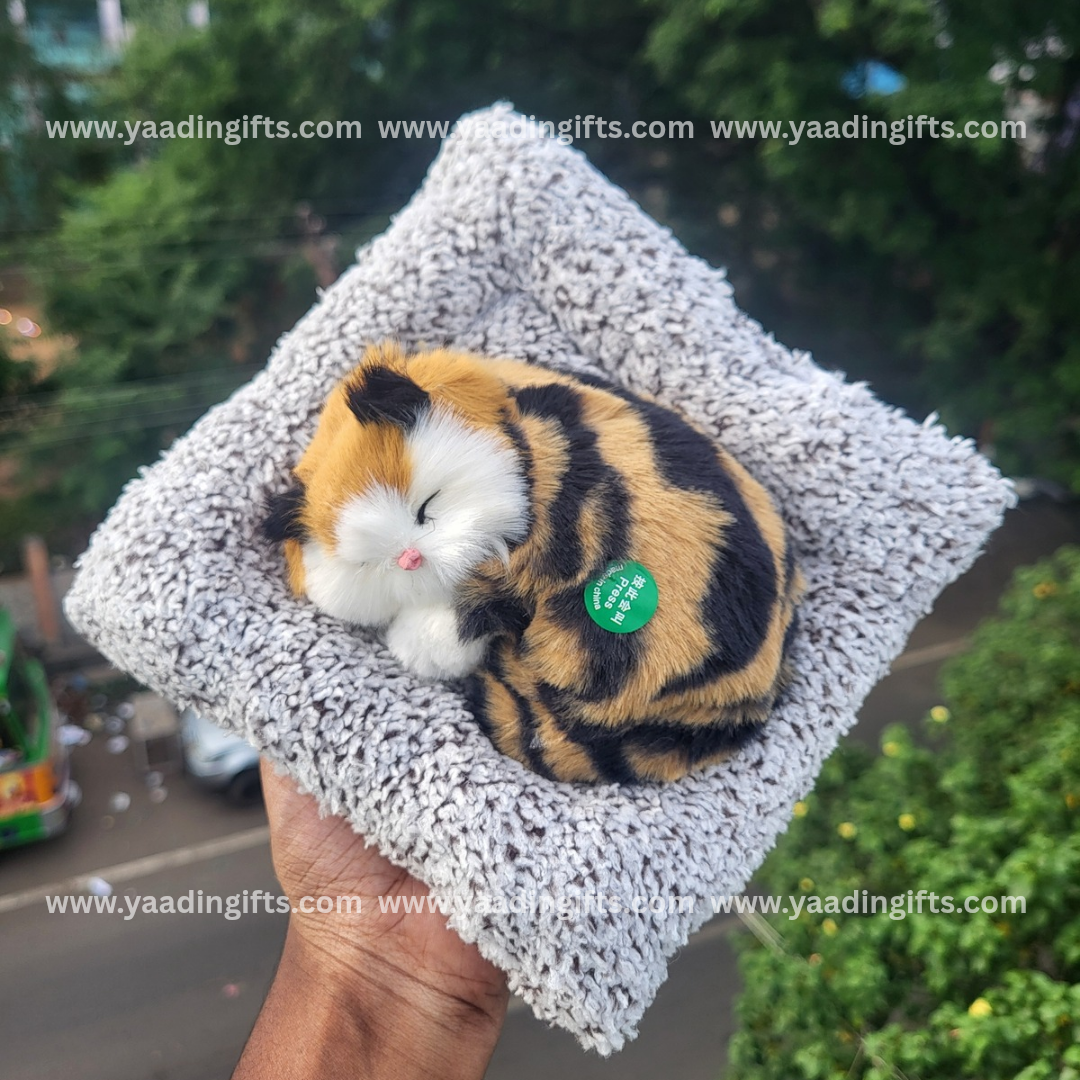 Musical cat toy