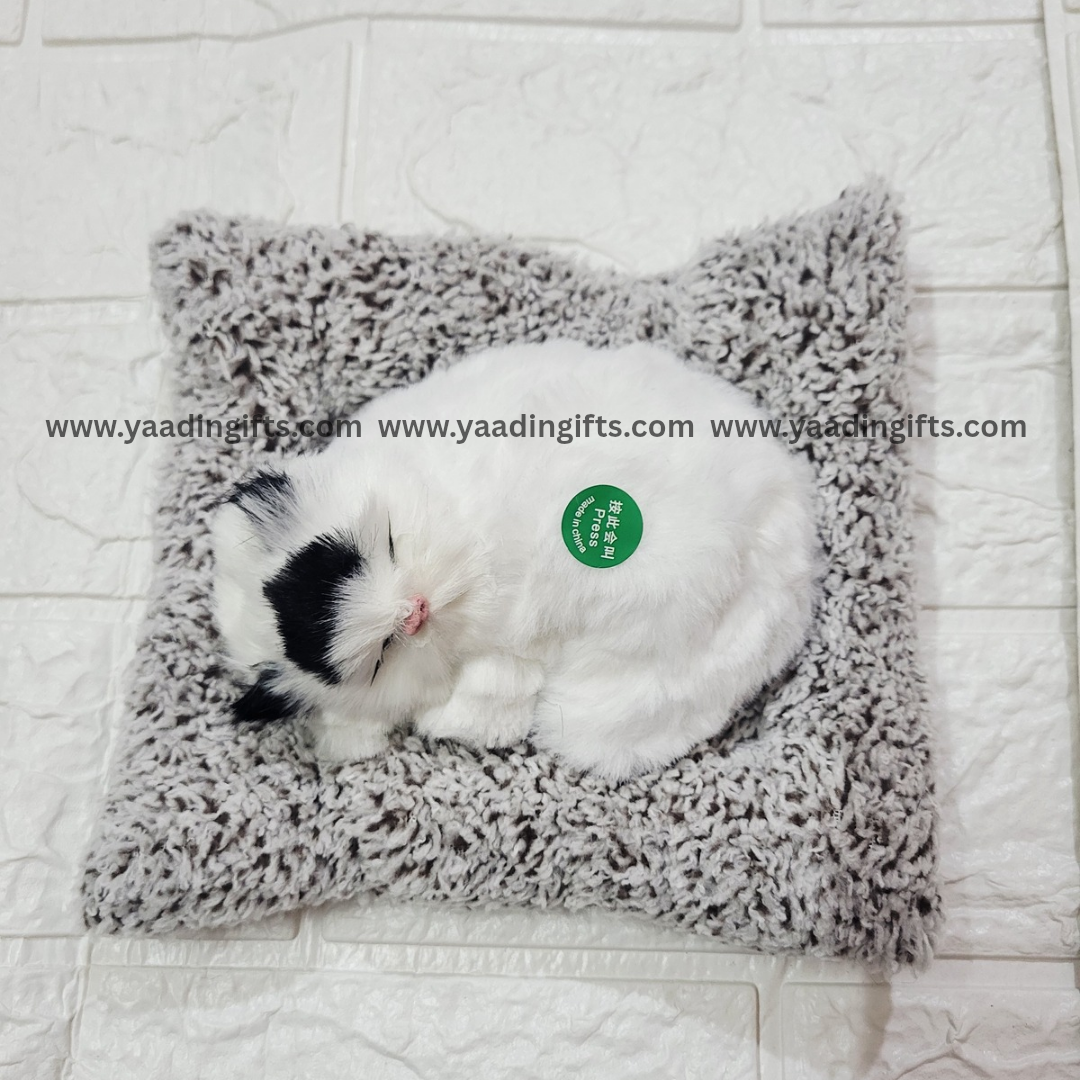 Musical cat toy