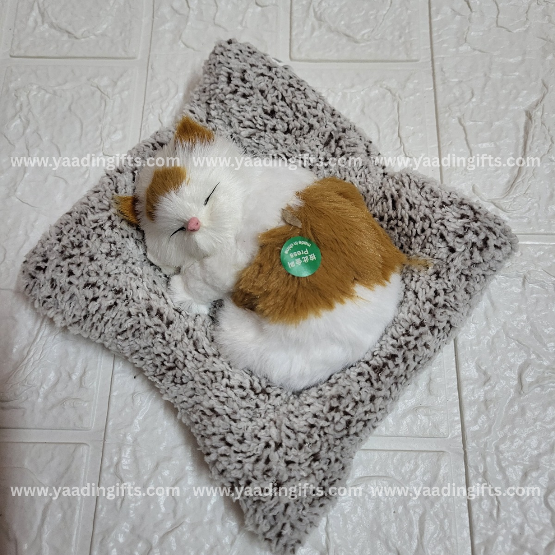 Musical cat toy