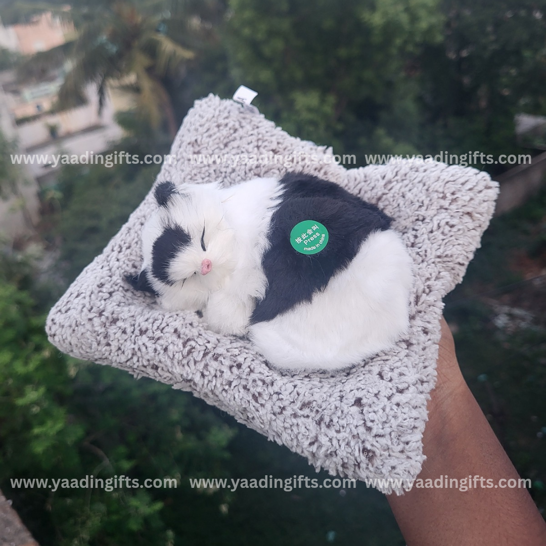 Musical cat toy