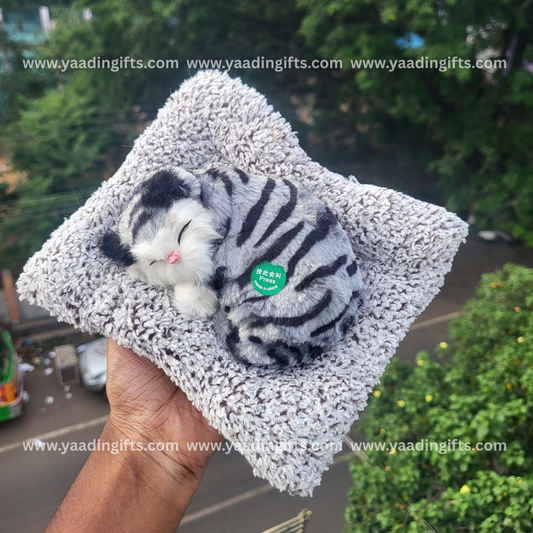 Musical cat toy