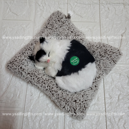 Musical cat toy