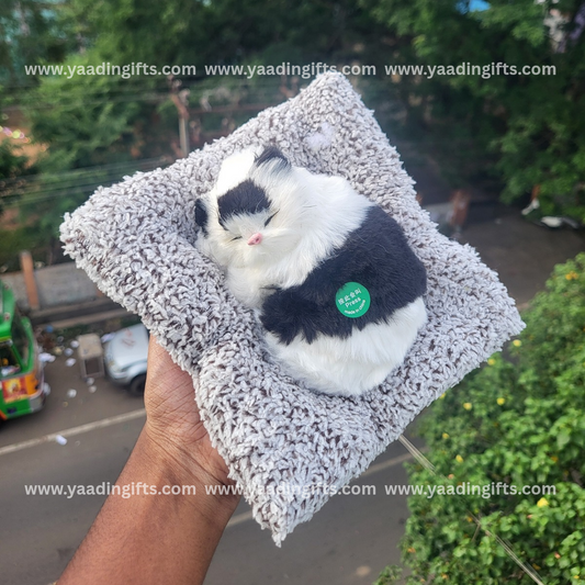 Musical cat toy