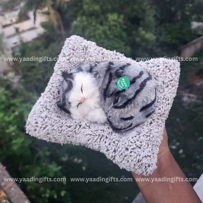 Musical cat toy