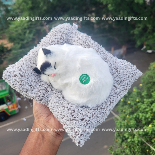 Musical cat toy