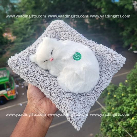 Musical cat toy