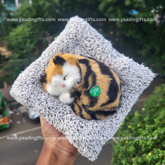 Musical cat toy