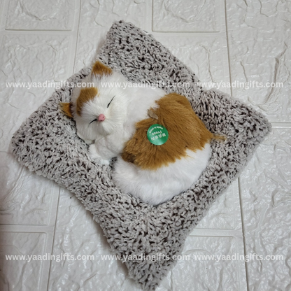 Musical cat toy